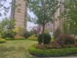 鲁商金茂观海印象实景图