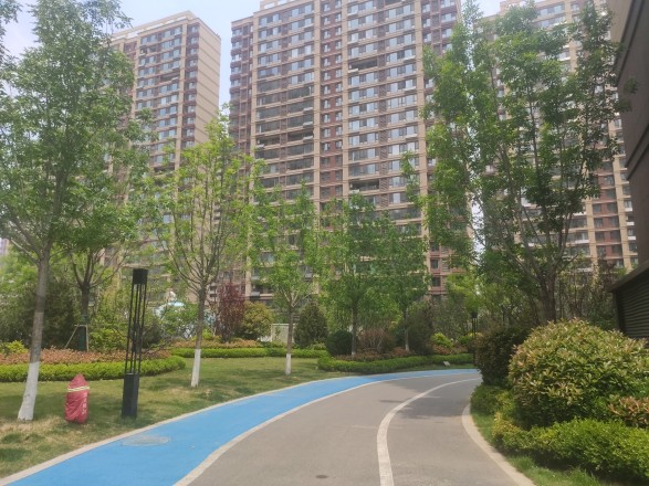 鲁商金茂观海印象实景图